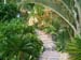 a_Tropical_Pathway